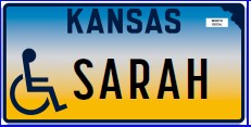 To the Stars Disabled Personalized plate